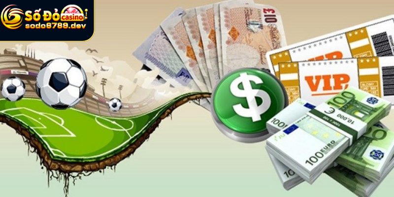 Đại Lý Sodo6789 - Nền Tảng Cá Cược Uy Tín Cho Người Chơi 8 Đăng ký tham gia đơn giản với Sodo6789