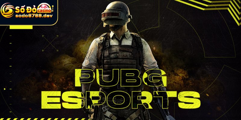 PUBG Esport - Hướng Dẫn Cá Cược Và Cơ Hội Thưởng Nhận Lớn 7 Lý do chọn Sodo6789 làm sân chơi